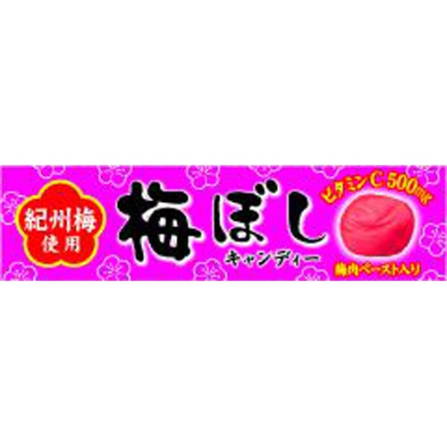 Lion Umeboshi Candy 10 pieces 1/120 – Sumotori.Trade