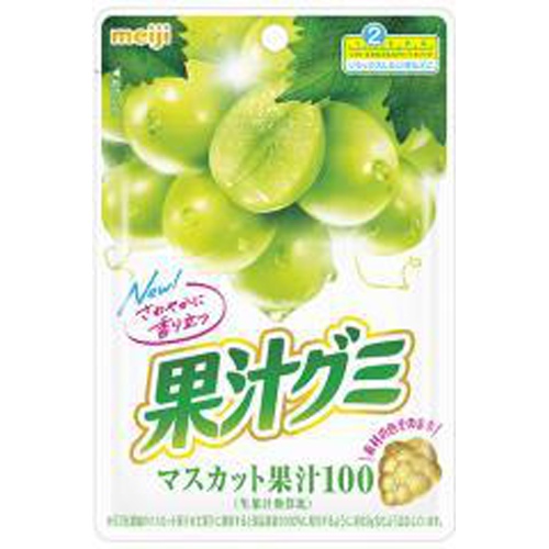 Meiji Fruit Juice Gummy Muscat 54g 1/120 – Sumotori.Trade