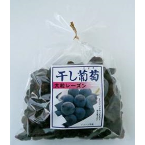 Nagatoku Large Raisins 400g 1/60 – Sumotori.Trade