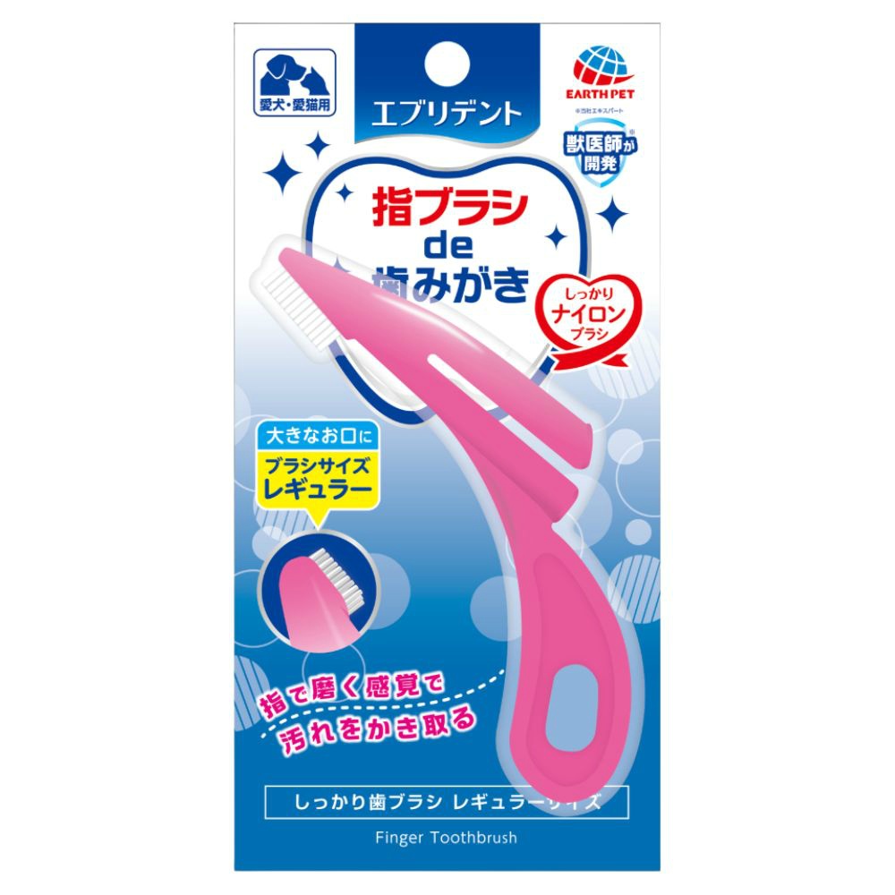 Everydent Regular Firm Toothbrush 1/48 – Sumotori.Trade
