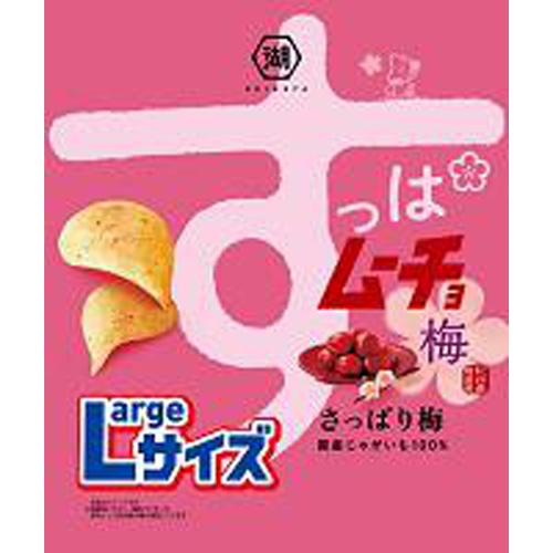 Koikeya Large Sour Mucho Refreshing Plum 122g 1/12 – Sumotori.Trade