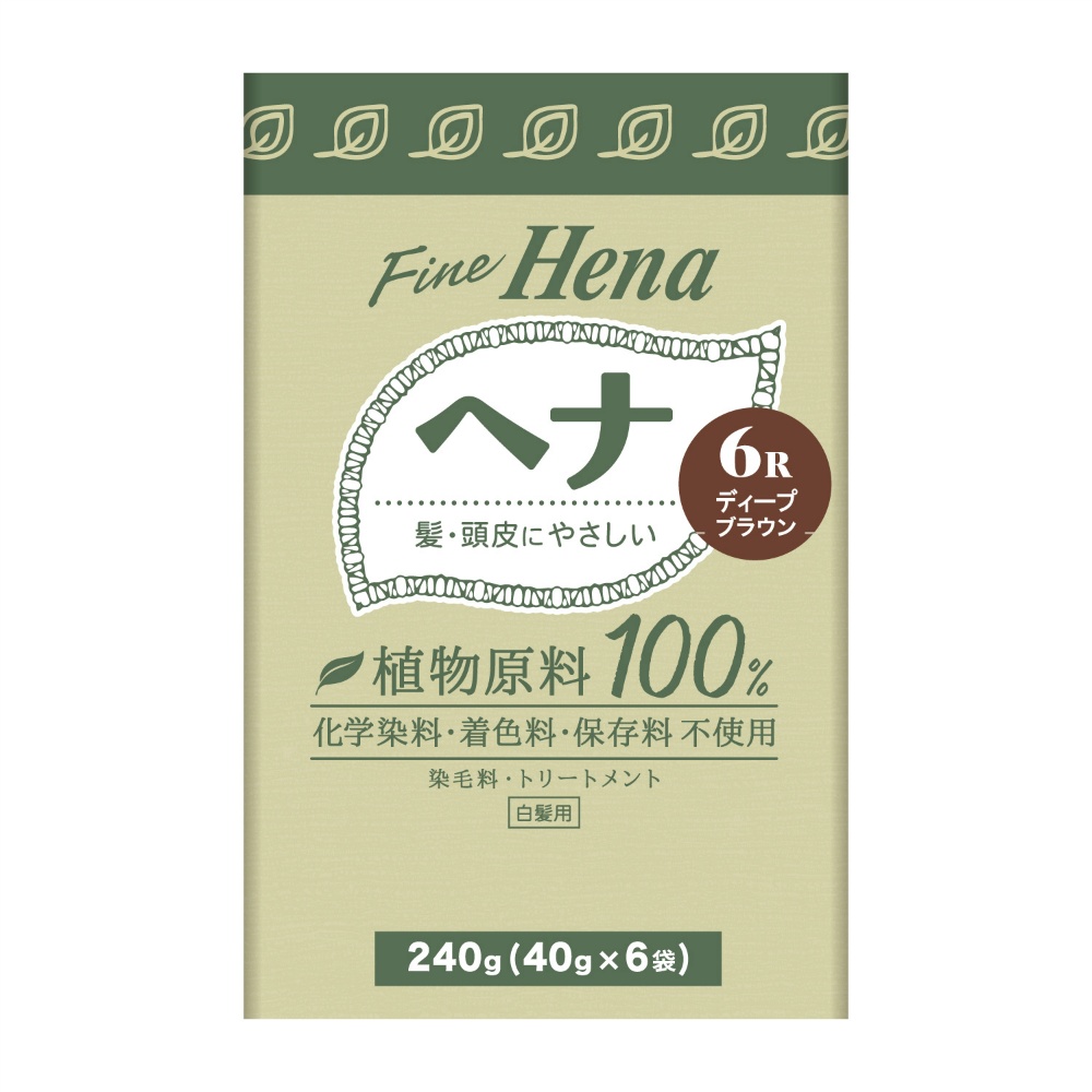 Tenstar Fine Henna 6P Deep Brown 40g x 6 1/36 – Sumotori.Trade