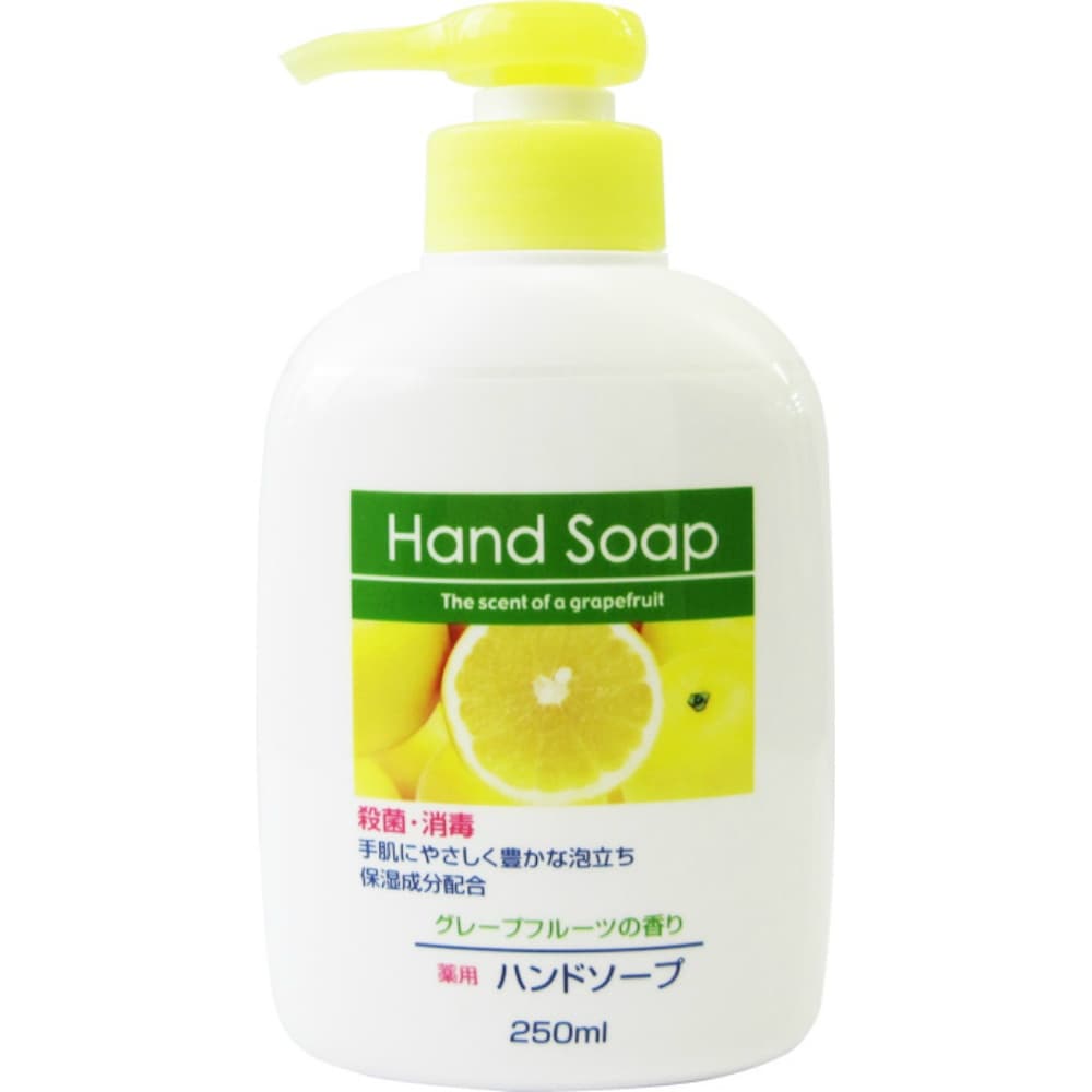 Daiichi Soap Medicated Hand Soap 250ml 1/24 – Sumotori.Trade