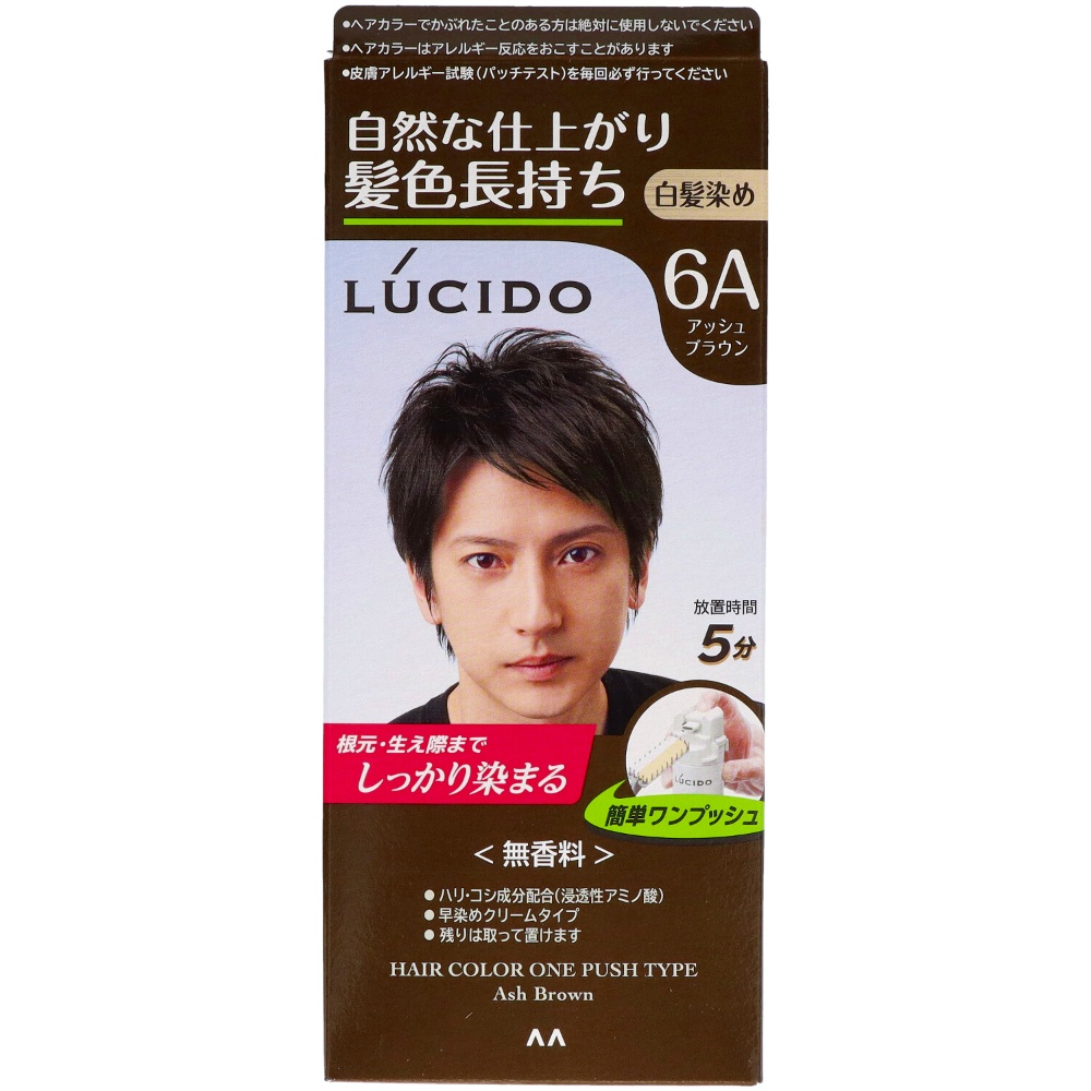 Lucido One-Push Care Color Ash Brown 1/24 – Sumotori.Trade