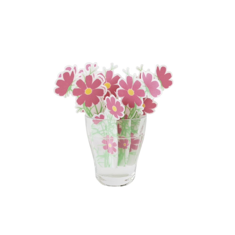 Anywhere Moisture Cosmos 1/60 – Sumotori.Trade