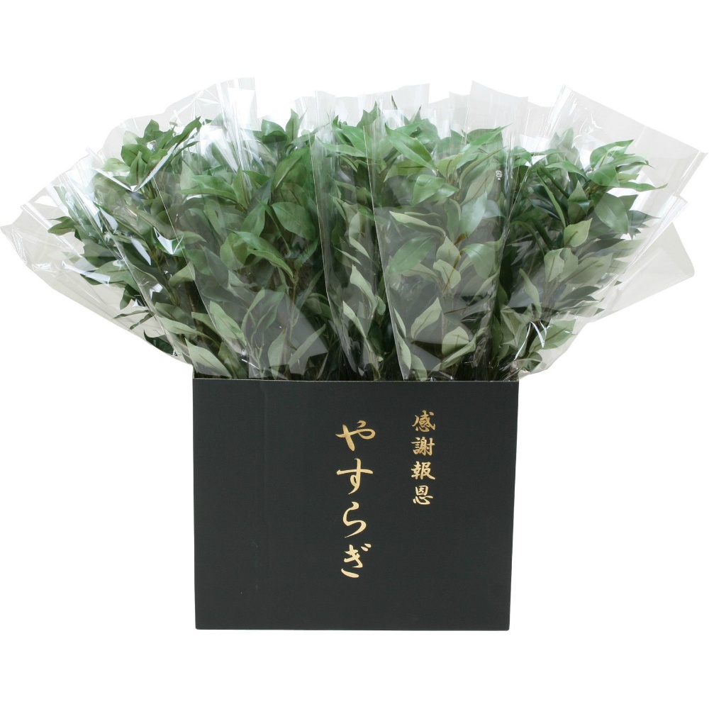 Shikimi (wrapped) 1/30 – Sumotori.Trade