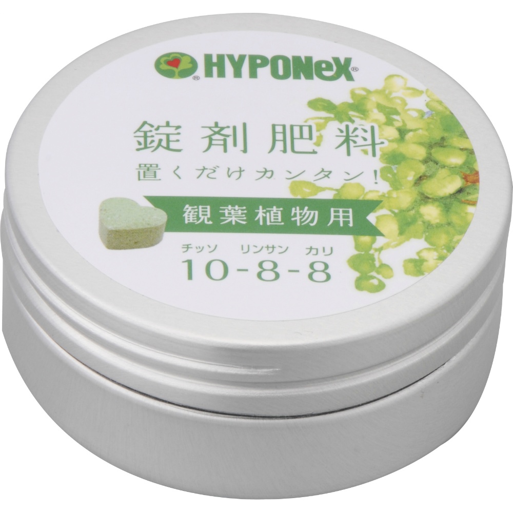 Tablet fertilizer for houseplants 1/40 – Sumotori.Trade