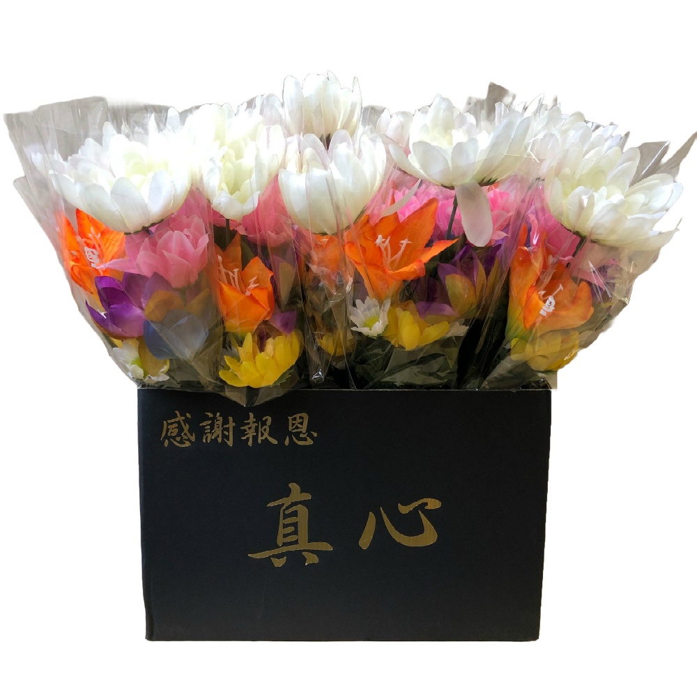 Bonsai S (wrapped) 1/24 – Sumotori.Trade