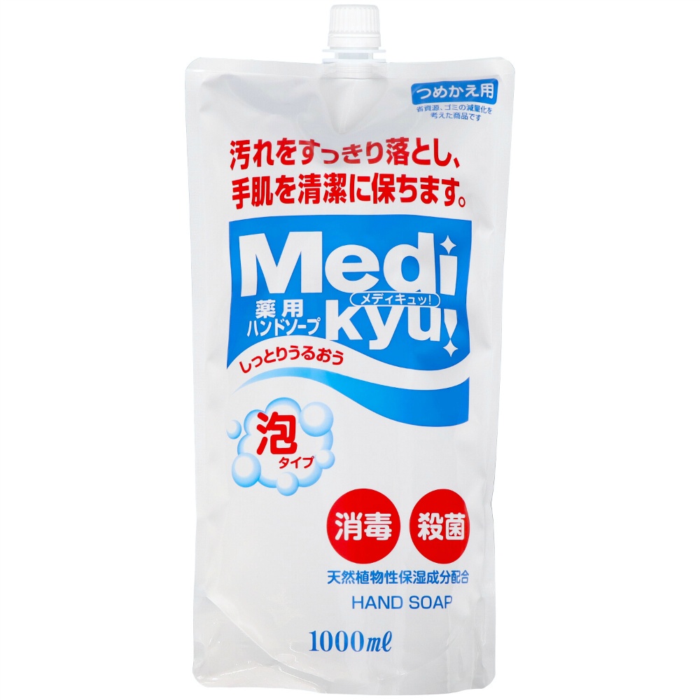 Medicated Foam Hand Soap, Large Refill 1/12 – Sumotori.Trade