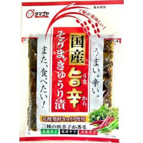Sugano Japanese Spicy Pickled Cucumber 120g 1/60 – Sumotori.Trade