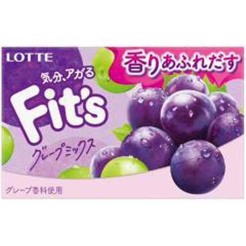 Lotte Fit's Grape Mix 12 pieces 1/200 – Sumotori.Trade