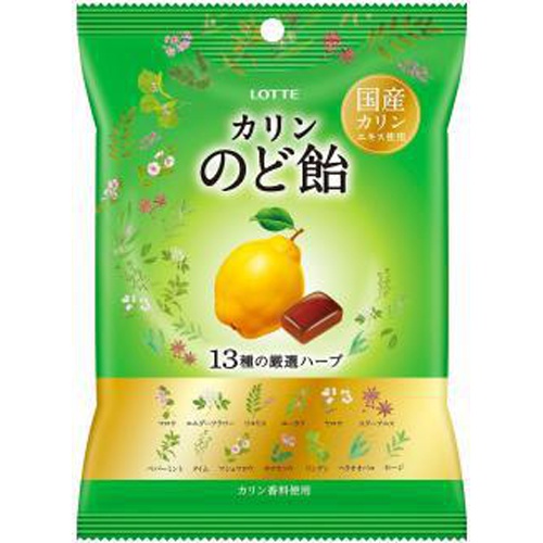 Lotte throat lozenge bag 102g 1/10 – Sumotori.Trade