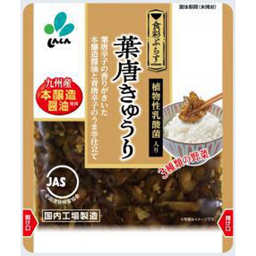 Shinshin Shokusai Plus Leafy Cucumber 90g 1/60 – Sumotori.Trade