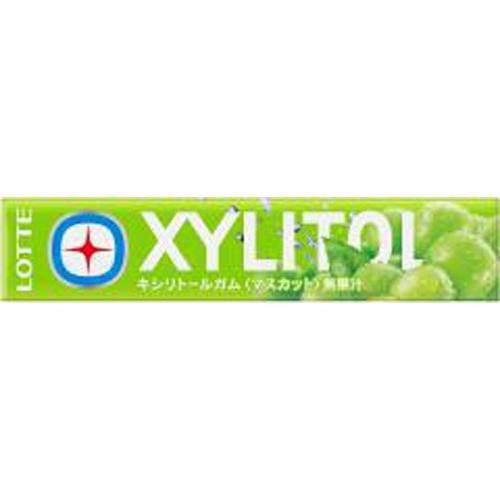 Lotte Xylitol Gum Muscat 14 pieces 1/320 – Sumotori.Trade