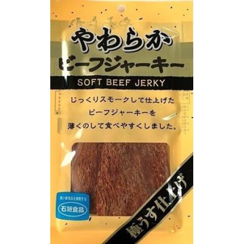 Ishigaki Soft Beef Jerky 30g 1/40 – Sumotori.Trade