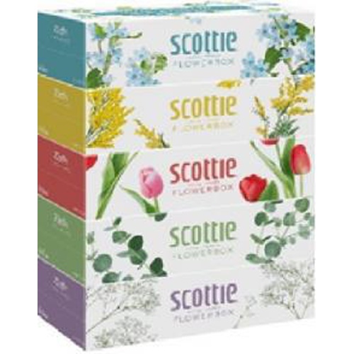 Scotty Flower Box 250W5P 1/12 – Sumotori.Trade