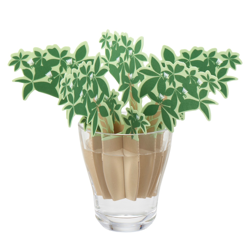 Anywhere Moisture Pachira 1/60 – Sumotori.Trade