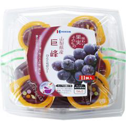 Hokushin Yamanashi Prefecture Kyoho Grape Jelly 1/48 – Sumotori.Trade