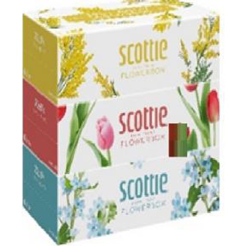 Scotty Flower Box 250W3P 1/18 – Sumotori.Trade