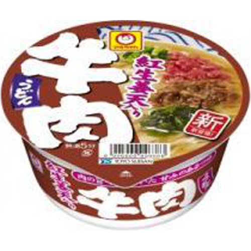 Maruchan Beef Udon with Pickled Ginger Tempura 1/12 – Sumotori.Trade