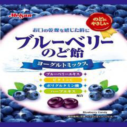 Atorion Blueberry Throat Lozenges 64g 1/20 – Sumotori.Trade