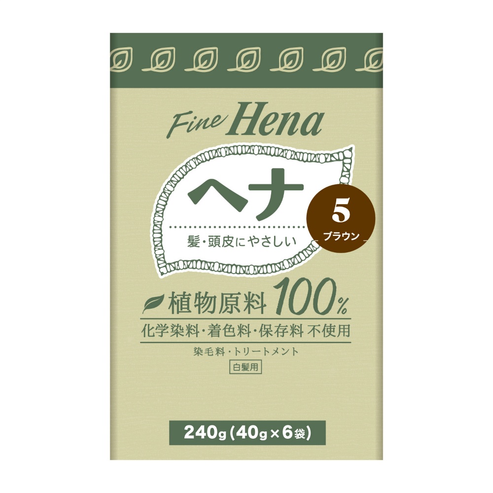 Tenstar Fine Henna 6P Brown 40g x 6 1/36 – Sumotori.Trade