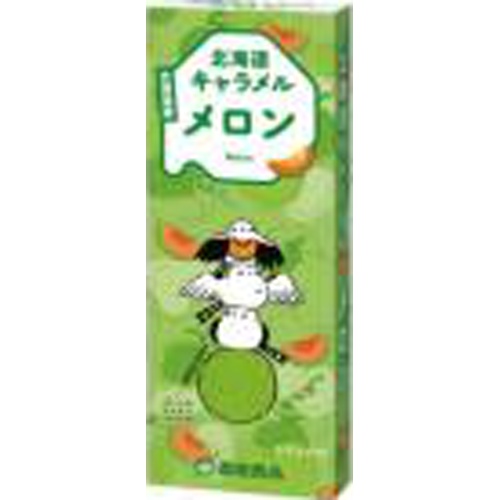 Southern Hokkaido Caramel Melon 18 pieces 1/120 – Sumotori.Trade