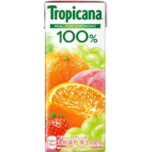 Tropicana Fruit Blend LL 250ml 1/24 – Sumotori.Trade