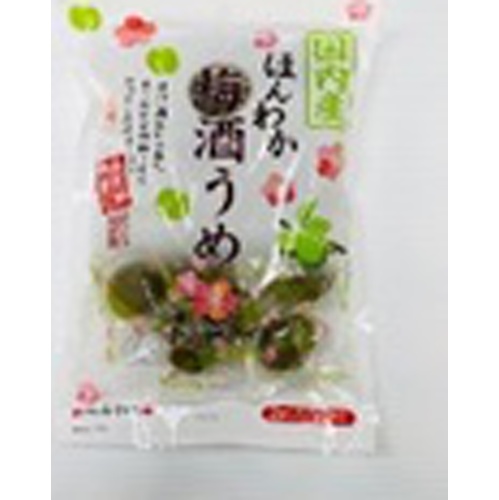 Nozawa Honwaka Umeshu Ume 200g 1/30 – Sumotori.Trade