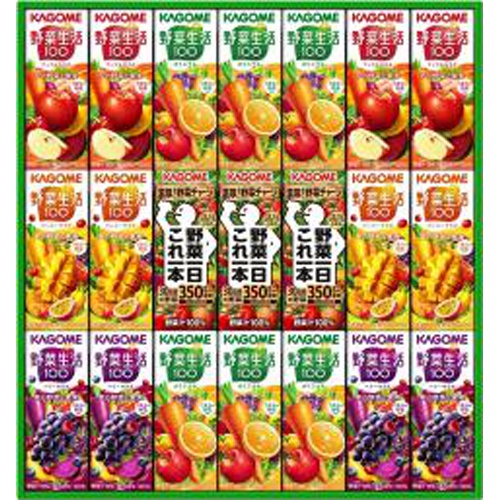 Kagome Gift KYJ-30G 1/4 – Sumotori.Trade