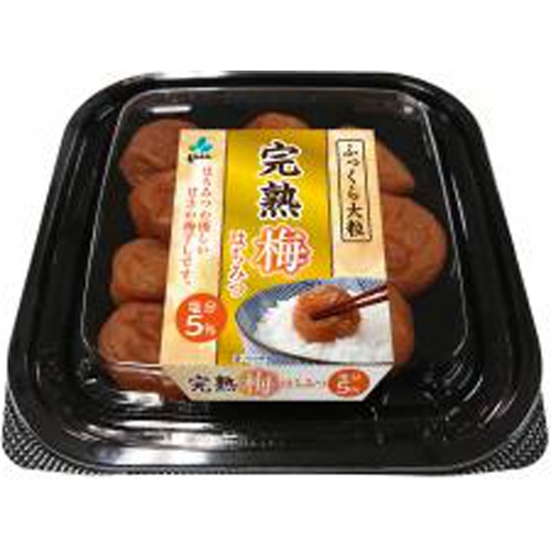 Shinshin Fully Ripe Plum Honey 180g 1/32 – Sumotori.Trade