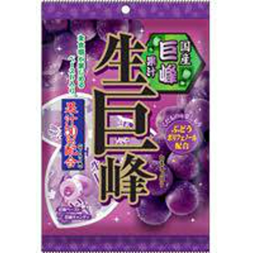 Ribbon raw Kyoho 100g 1/20 – Sumotori.Trade