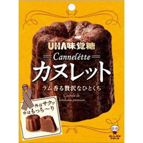 Mikakuto Canulet 40g 1/80 – Sumotori.Trade