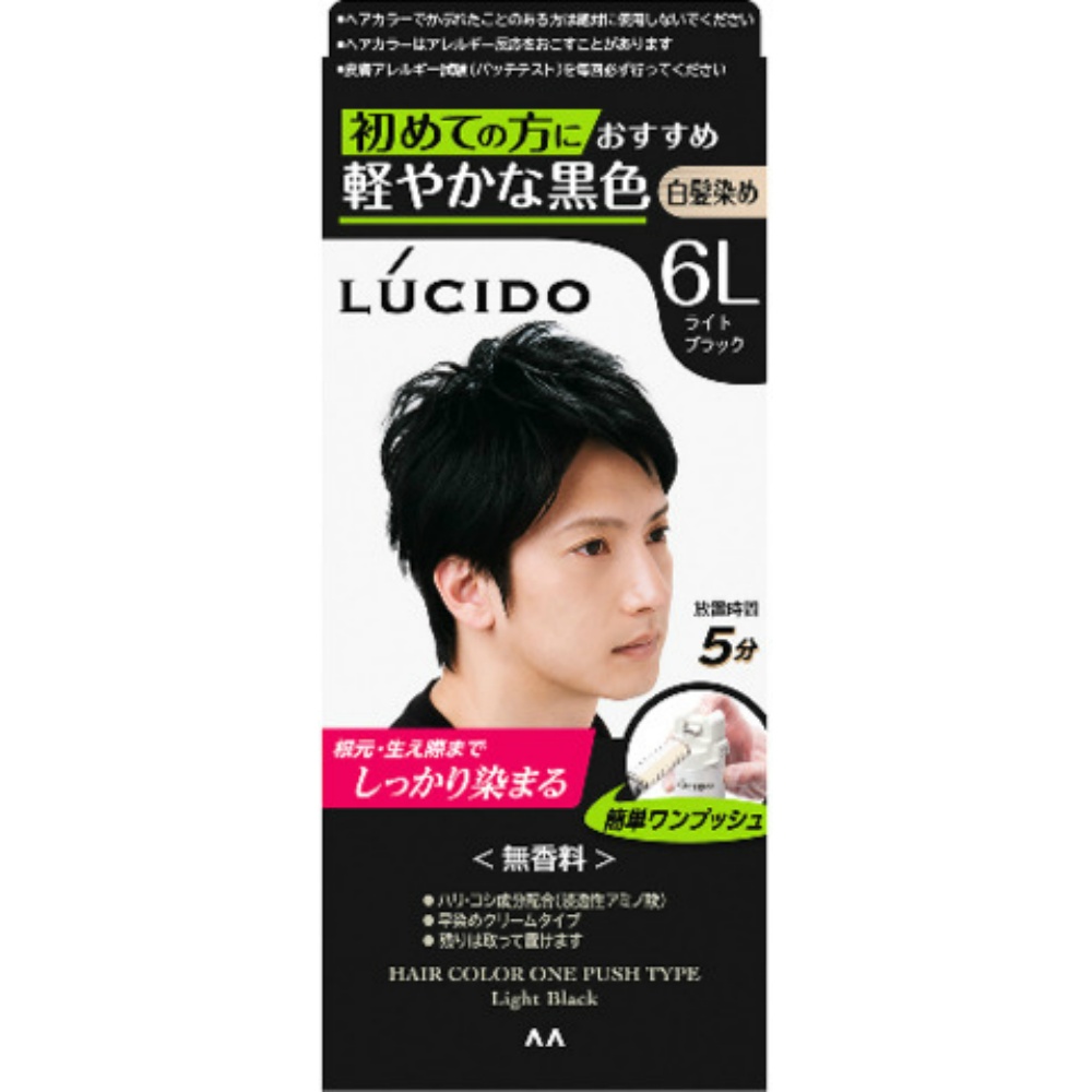 Lucido One-Push Care Color, Light Black 1/24 – Sumotori.Trade