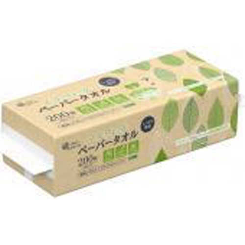 Elver Paper Towels, Paper Wrapped, 200 Pieces 1/42 – Sumotori.Trade