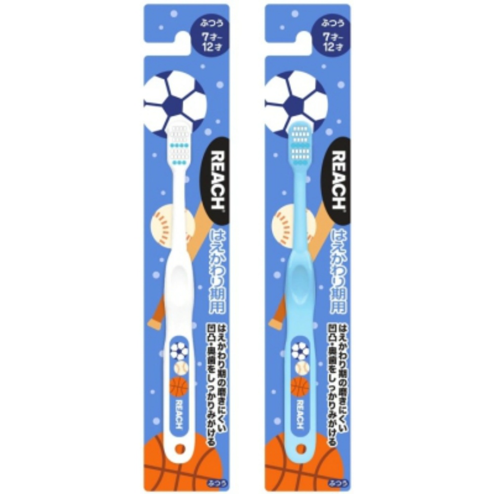 Reach Kids Toothbrush Bowl for Teething, Regular 1/72 – Sumotori.Trade