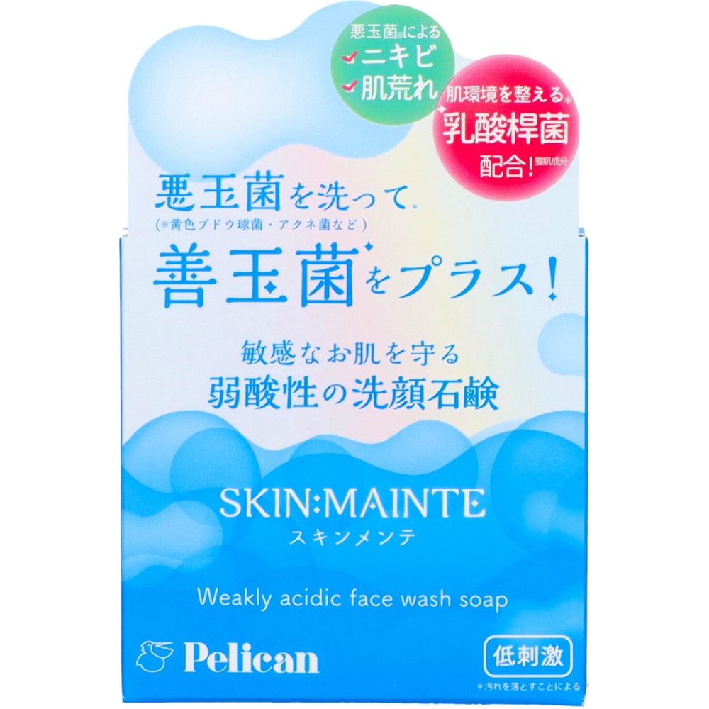 SKIN:MAINTÉ Facial Soap 80g 1/96 – Sumotori.Trade