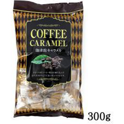Miyata Coffee House Caramel 273g 1/12 – Sumotori.Trade