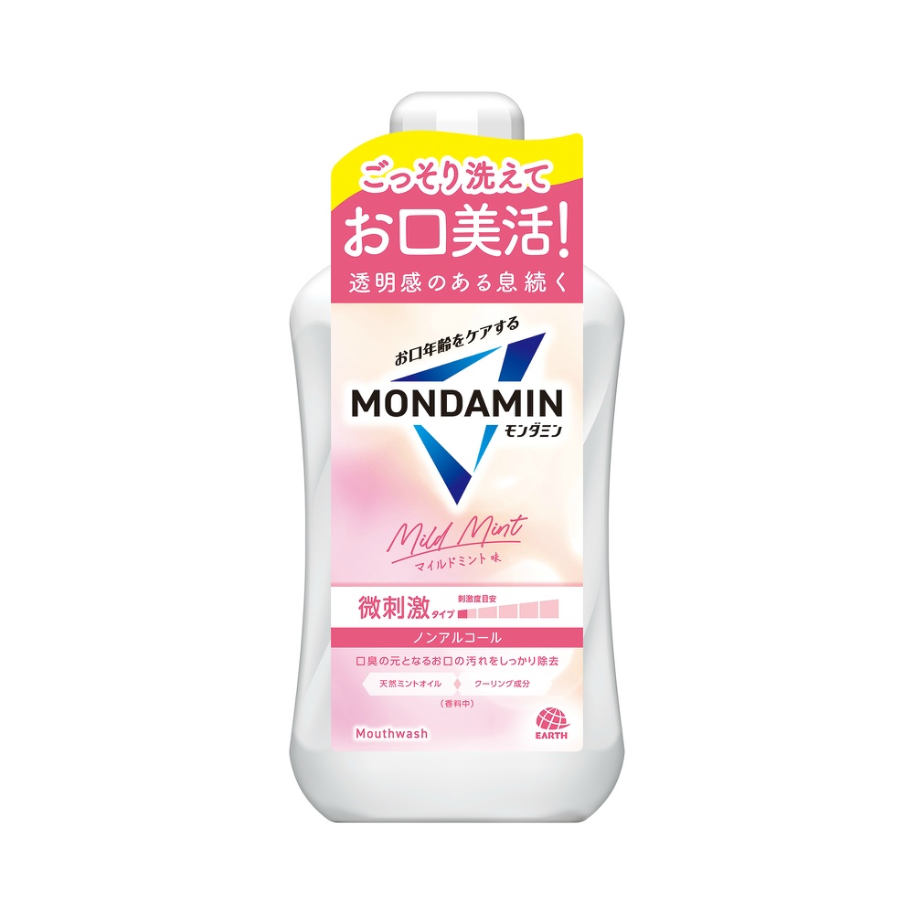 Mondamin Mild Mint 1000ml 1/12 – Sumotori.Trade