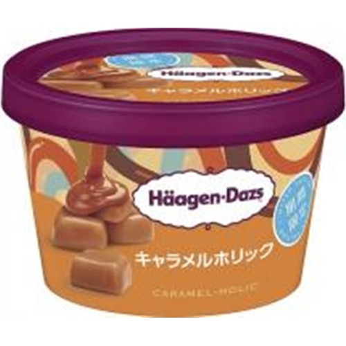 Haagen-Dazs Mini Cup Caramelholic 1/6 – Sumotori.Trade