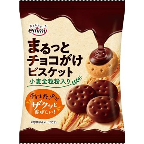 Shoei Chocolate Covered Biscuits 54g 1/48 – Sumotori.Trade
