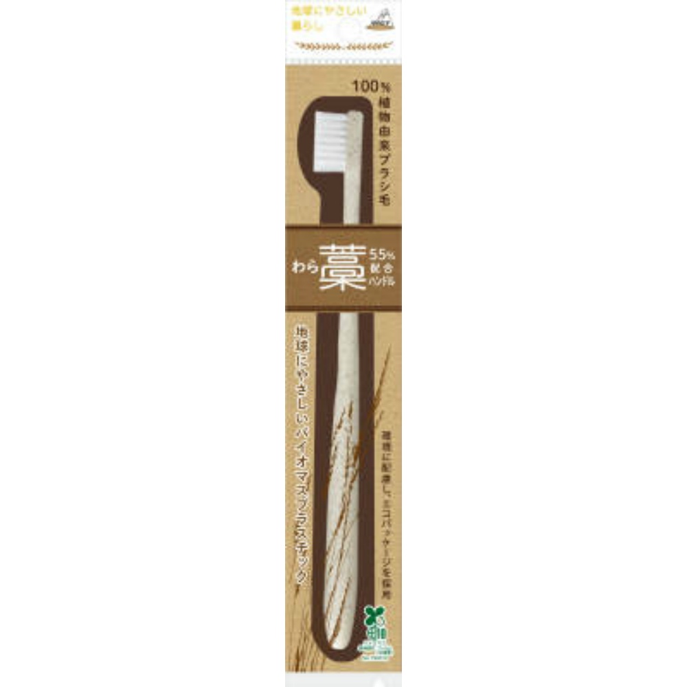Straw Toothbrush OB-813 1/288 – Sumotori.Trade