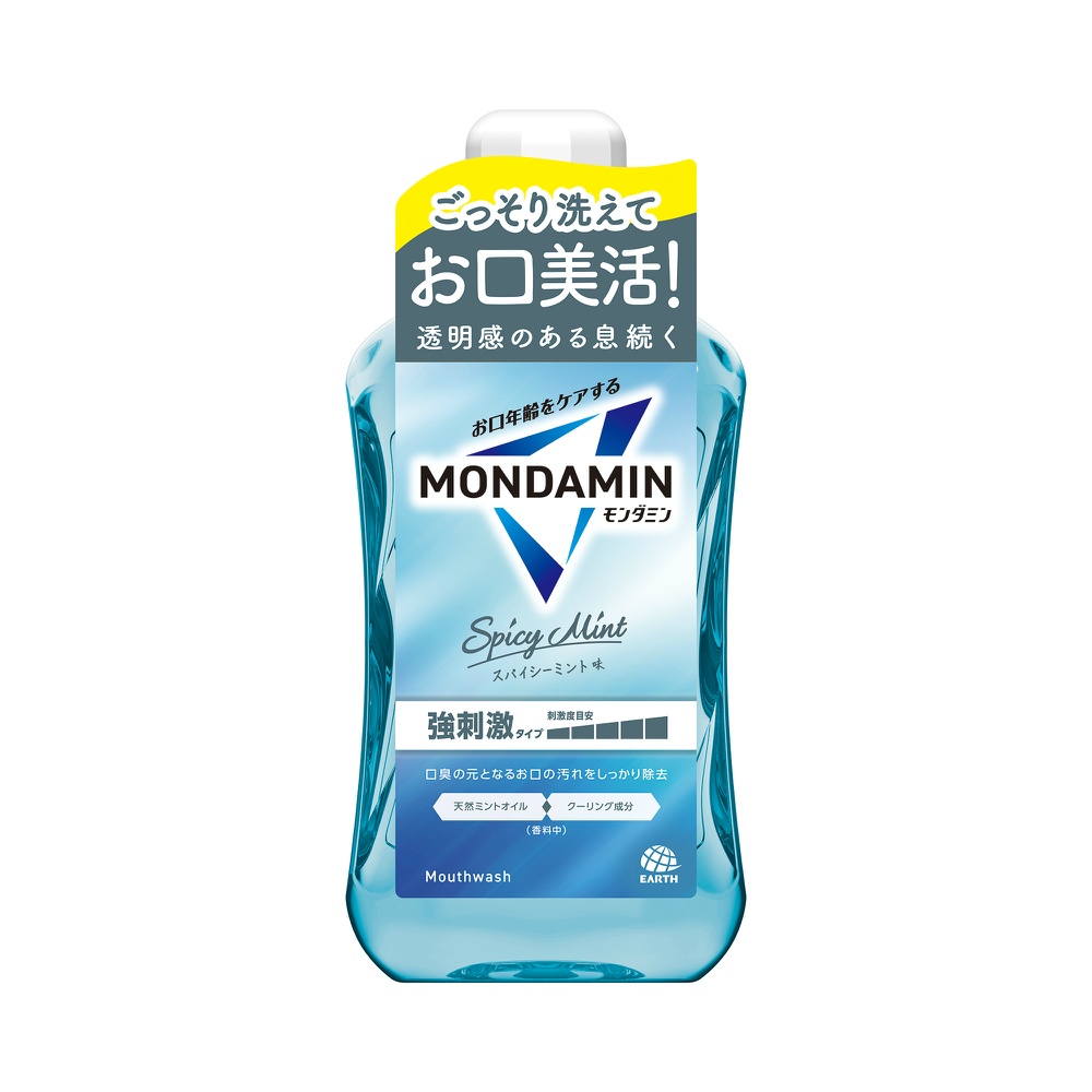 Mondamin Spicy Mint 1000ml 1/12 – Sumotori.Trade