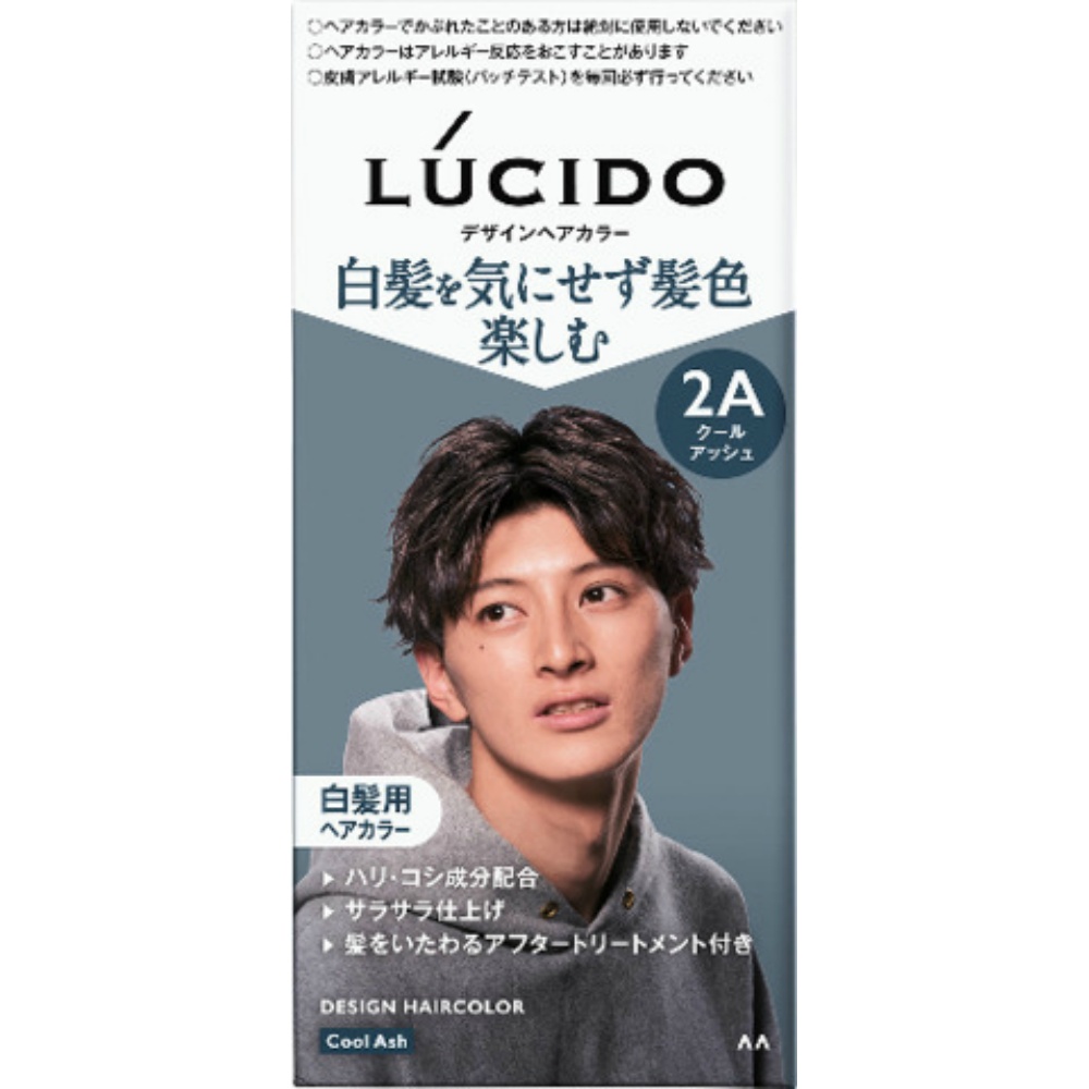 Lucido Design Hair Color Cool Ash 1/36 – Sumotori.Trade