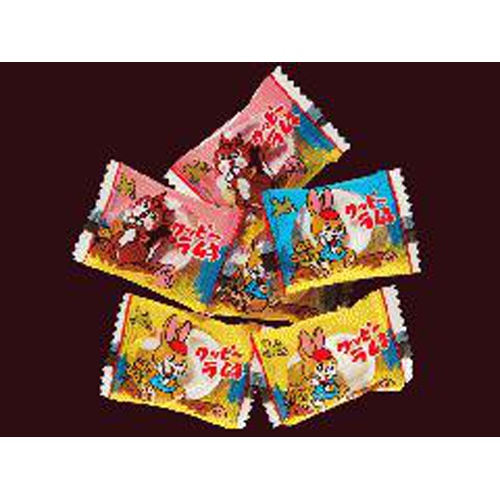 KAKUDAI Mini Cuppy 1kg 1/5 – Sumotori.Trade