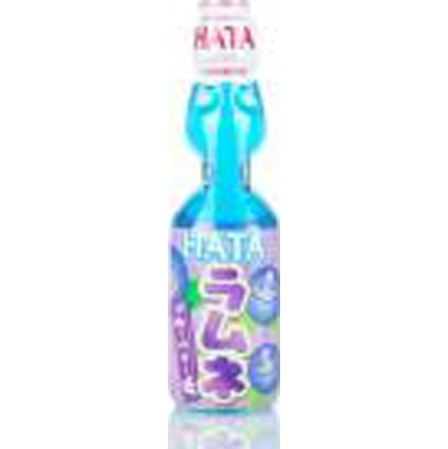Hata Bottled Ramune Blueberry Flavor 200ml 1/30 – Sumotori.Trade