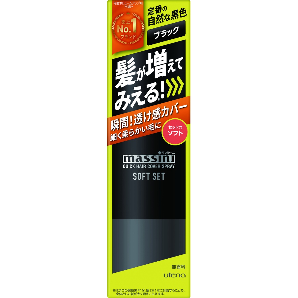 Massini Quick Hair Cover Spray Soft Set Black 1/36 – Sumotori.Trade