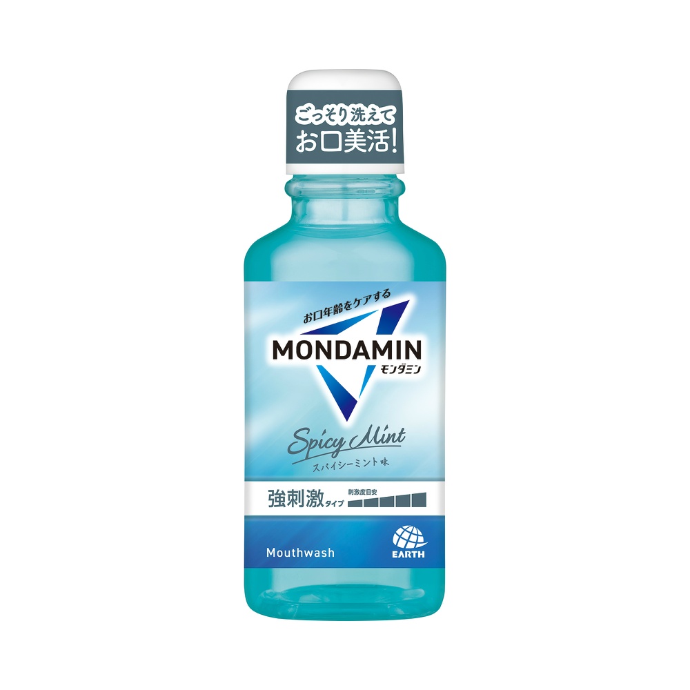 Mondamin Spicy Mint 100ml 1/48 – Sumotori.Trade